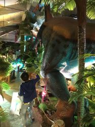 -恐龙探索乐园(磁器口店)