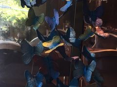 -南山饭店(阳明古镇店)