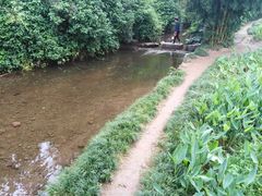 -重庆彩云湖湿地公园