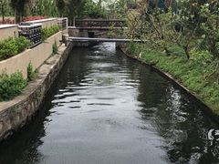 -树山生态村