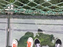 -梦幻奥陶纪景区