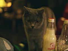 -OX BAR 拉培耶小镇(大连老街店)