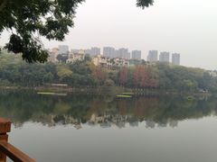 -重庆彩云湖湿地公园