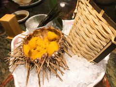 活海胆-炙柒Sekinana·精致料理 烧鸟·铁板烧(海上世界店)