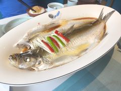 -洪湖水·新楚菜(人民大学店)