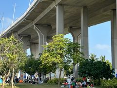 -中澳友谊花园