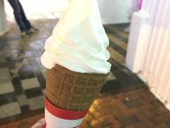 -富豪雪糕车流动点(尖沙咀店)