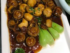 -梁溪河畔·吉府花园(南长街南下塘店)