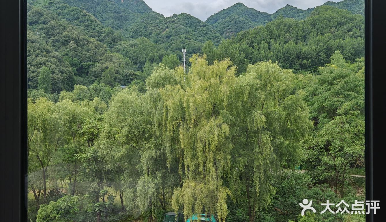 山里的石锅鱼,真好吃