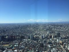 -东京都厅舍