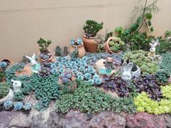 -正佳雨林生态植物园
