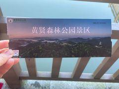 -黄贤森林公园