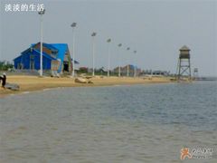 -碧海金沙
