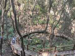 -大岭沟猕猴桃谷风景区