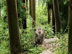 -太阳湾风景区