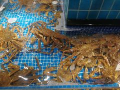 松叶蟹-海鲜谷(瓯悦店)