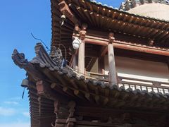 -张掖大佛寺景区