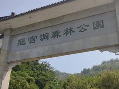 -龙宫洞风景区