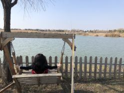 -水八仙生态园