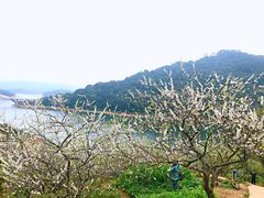 -广州市流溪河国家森林公园