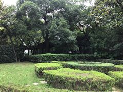 -中国福利会少年宫