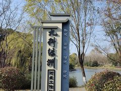-九科绿洲