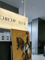 -CHIC 国潮男士发型