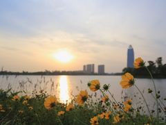-桐乡凤凰湖