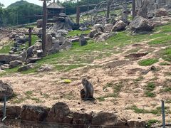 -石家庄市动物园