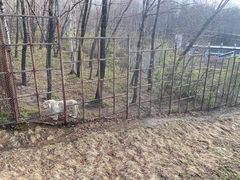 -哈尔滨北方森林动物园