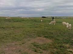 -呼和诺尔旅游景区