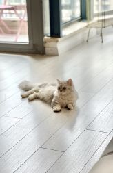 -Beauty Nails 美甲美睫皮肤管理