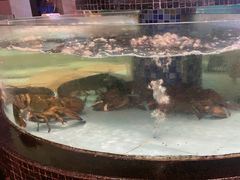 -怀德酒楼·粤菜·海鲜·茶点(宝安国际机场店)