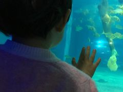 -常州海昌海洋探索馆