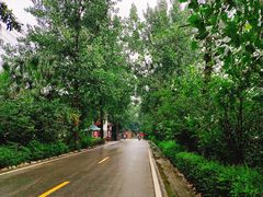 -三圣花乡旅游区