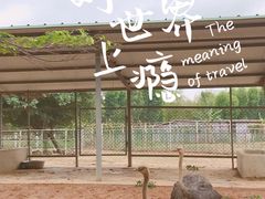 -东莞香市动物园