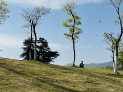 -紫金山山顶公园