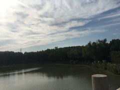 -昆山城市生态森林公园