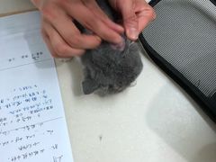 -甄爱宠物医院(疏影路店)