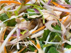 -东鸽皇(奥园·中环广场店)