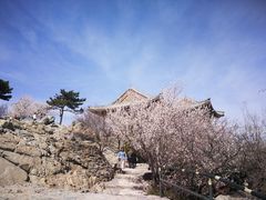 -香山公园