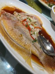 -新锦江大酒店·宴会厅·婚宴