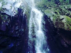 -藏龙百瀑风景区