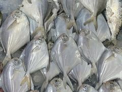 平鱼-王四营海鲜市场