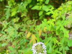-虎峪自然风景区