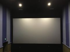 -环球国际影城(天鸿广场LUXE巨幕店)