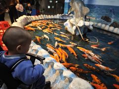 -泉州海丝野生动物世界