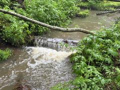 -五营红松林海景区