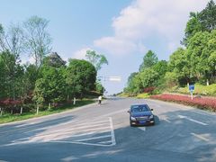 -铁山坪森林公园