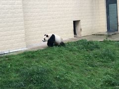 -石家庄市动物园